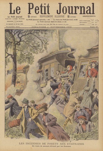 Pożary lasów w Stanach Zjednoczonych (kolorowa litografia) autorstwa French School