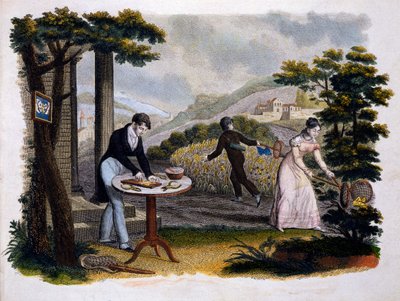 Frontyspis z Les Papillons... Eugene Balland (1796-c.1850), wyd. P. Blanchard, Lecerf, Paryż, 1823 (kolorystyka) autorstwa French School
