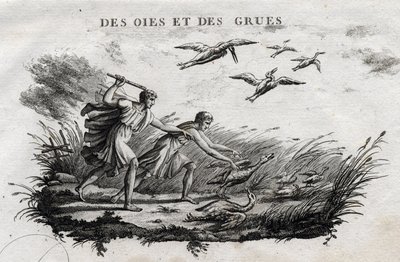 Gęsi i żurawie - Fable d