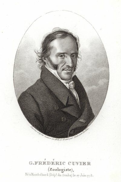 George Cuvier autorstwa French School
