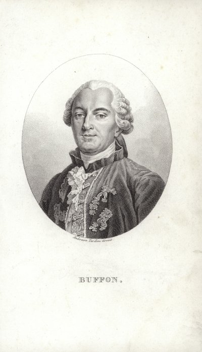 Georges-Louis Leclerc autorstwa French School