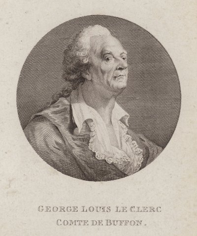 Georges-Louis Leclerc, hrabia de Buffon, francuski przyrodnik (grafika) autorstwa French School