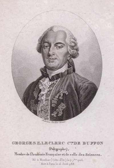 Georges-Louis Leclerc, hrabia de Buffon, francuski naukowiec i pisarz (grafika) autorstwa French School