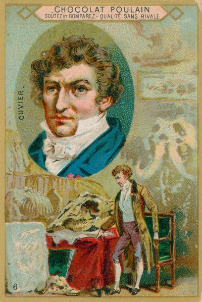George Cuvier autorstwa French School
