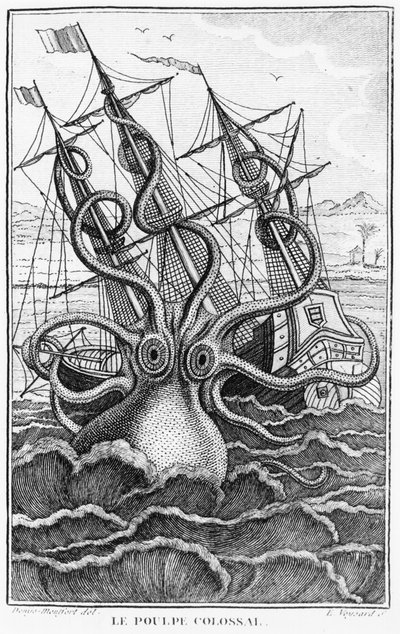 Olbrzymia ośmiornica, ilustracja z Ogólnej i szczegółowej historii naturalnej mięczaków autorstwa Denys-Montfort, c. 1802-03 autorstwa French School