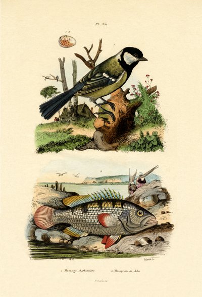 bogatka, 1833-39 autorstwa French School
