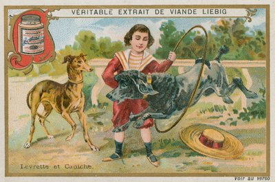 Chart i Pudel autorstwa French School