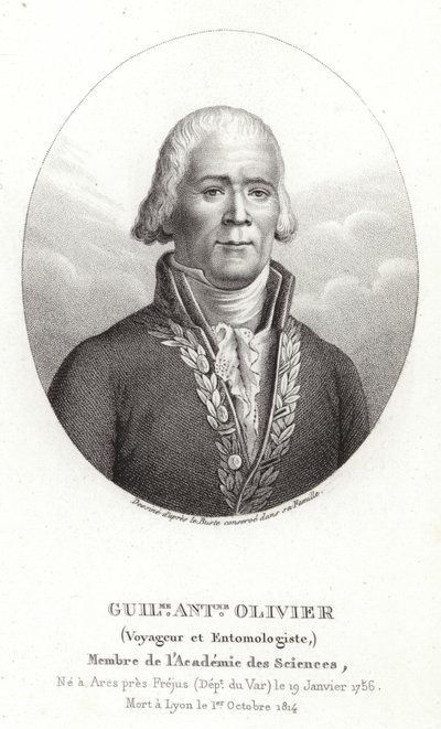 Guillaume Antoine Olivier autorstwa French School