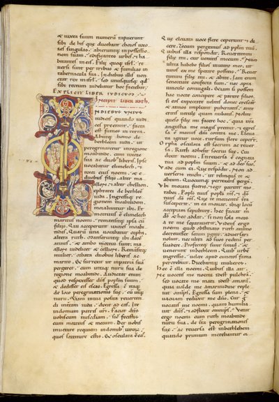 Harley 4772 f.120v Pierwsza strona z Księgi Rut, „Biblia Montpelier” (tusz i kolor na pergaminie) autorstwa French School