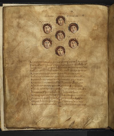 Harley 647, f.4v Ilustracja twarzy Plejad, siedmiu sióstr, które żyły w niebiosach jako gwiazdy, z ich imionami wypisanymi wokół nich, z „Aratusa” Marcusa Tulliusa Cicero (wellum) autorstwa French School