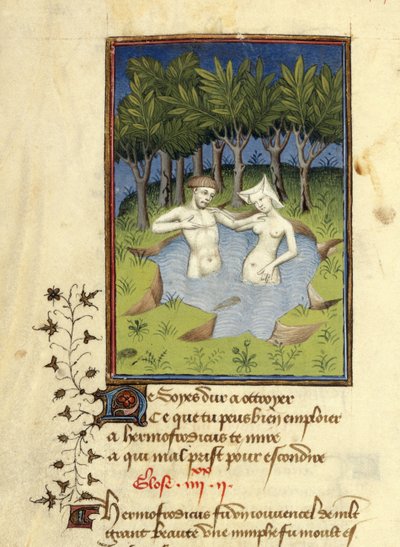 Harley MS 4431, f.132v, Miniatura Hermafrodyta i nimfy Salmacis kąpiącej się w jeziorze, z „L