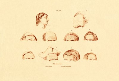 Głowy, 1833-39 autorstwa French School