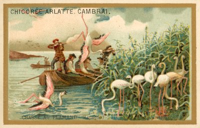 Polowanie na flamingi, Hiszpania (chromolitho) autorstwa French School