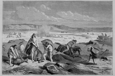 Polowanie na guanako (dziki lama) i nandou (lub patagoński struś) w Argentynie - w „Tour du Monde”, 2. tydzień 1861 autorstwa French School