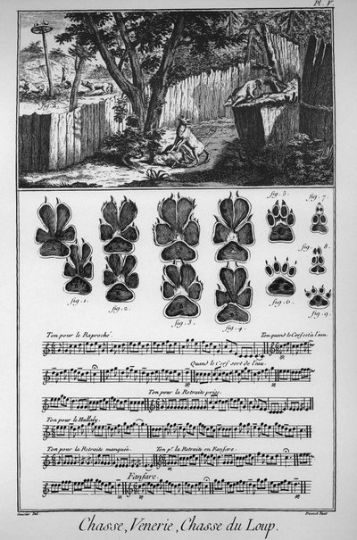 Polowanie na wilka (różne sposoby lub pułapki na wilki) - „” The Great Encyclopedie, ou Dictionnaire Raisonne des Sciences, des Arts et des Metiers”” (Encyklopedia lub słownik nauk, sztuki i zawodów) autorstwa Denisa Diderota (1713) -1784) i autorstwa French School