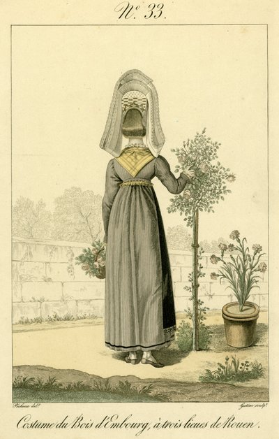 Ilustracja nr. 33, Kostium Bois d