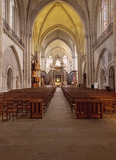 Widok wnętrza katedry d