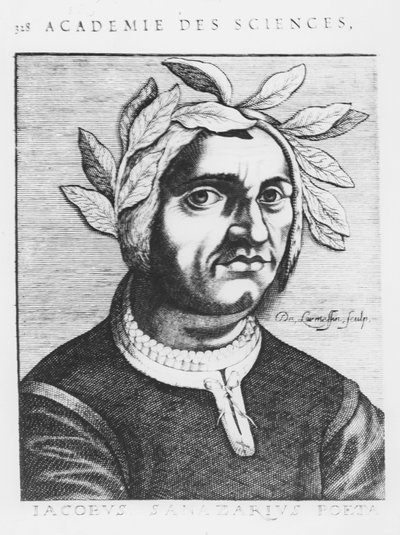 Jacopo Sannazaro (grafika) autorstwa French School