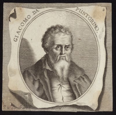 Jacopo da Pontormo autorstwa French School