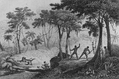 Jaguar Hunt, z „Bresil, Colombie et Guyanese” Ferdinanda Denisa i Cesara Famina 1837 autorstwa French School