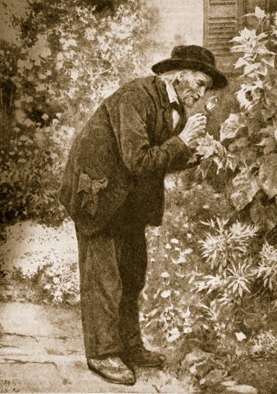 Jean-Henri Fabre obserwujący owady autorstwa French School