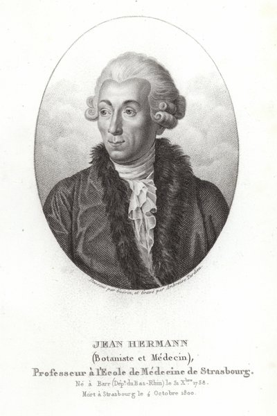 Jean Hermann autorstwa French School
