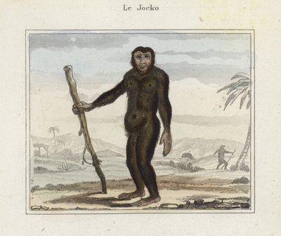 Jocko autorstwa French School
