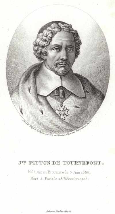 Joseph Pitton de Tournefort autorstwa French School