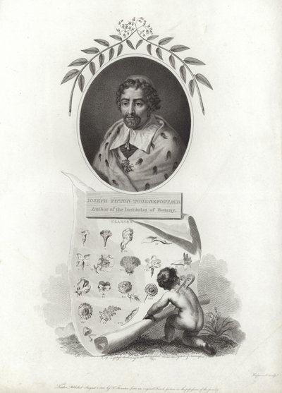 Joseph Pitton de Tournefort autorstwa French School