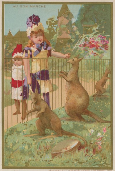 Kangury w zoo autorstwa French School