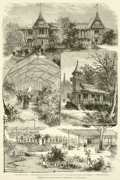 Wystawa leśno-ogrodnicza w Trocadero (rycina) autorstwa French School