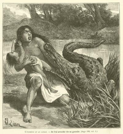 Indianin i Kajman (rycina) autorstwa French School