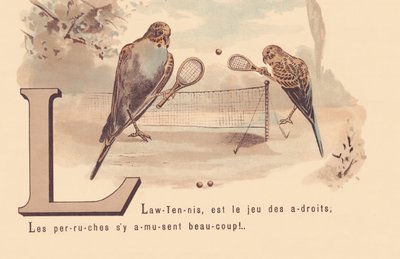 L: Lawn-Tenis to gra mądrych; Papużki mają dużo zabawy! autorstwa French School