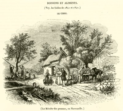 Zbiór jabłek w Normandii (grawerowanie) autorstwa French School