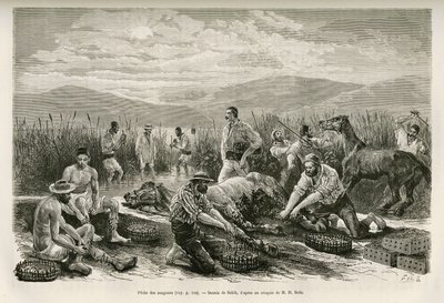 The Fishing of the Leeches, narysowany przez Sahiba, ilustrujący historię Henry