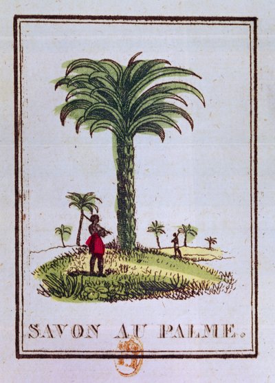 Etykieta mydła o zapachu oleju palmowego, przedstawiająca palmę autorstwa French School