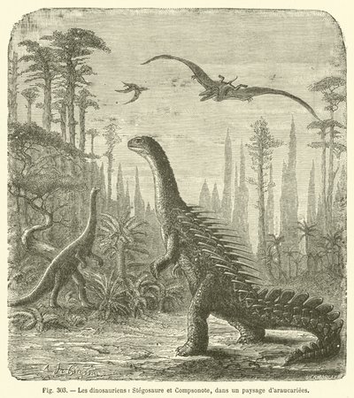 Dinozaury, Stegosaurus i Compsonote, w krajobrazie Araucariae (rycina) autorstwa French School