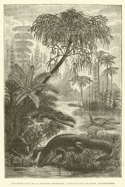 Mieszkańcy triasu, kapitozaur, belodon, notozaur (rycina) autorstwa French School
