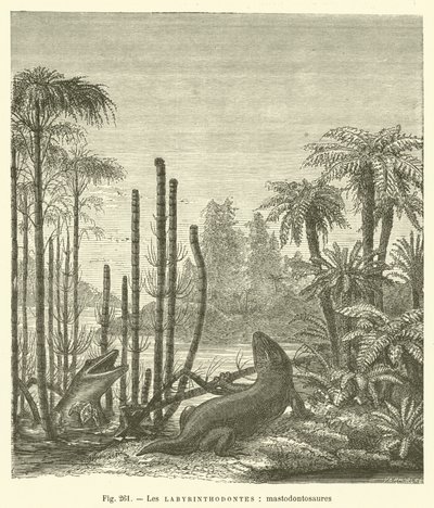 Les labyrinthodontes, mastodontosaures (grawerowanie) autorstwa French School