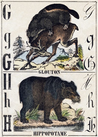 Litera G Żarłok; H Hippotam. Grawerowanie w „Alfabet des animaux sauvages””. 9. seria. Obraz Epinal, Pellerin, drukarz-wydawca, ok. 1870 r. Ryciny na drewnie, szablon. 16 stron. Wymiary: 20 x 15 cm. Prywatna kolekcja autorstwa French School