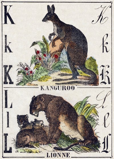 Litera K L; K Kanguro; Lwica. Grawerowanie w „Alfabet Dzikich Zwierząt”. 9. Seria. Obraz Epinal, Pellerin, drukarz-wydawca, ok. 1870 r. Ryciny na drewnie, szablonowe. 16 stron. Rozmiar: 20x15 cm. Prywatna kolekcja autorstwa French School