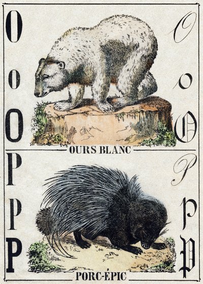 Litera O Niedźwiedź; P Wieprzowina (epopeja wieprzowa). Grawerowanie w „Alfabet des animaux sauvages””. 9. seria. Obraz Epinal, Pellerin, drukarz-wydawca, ok. 1870 r. Ryciny na drewnie, szablon. 16 stron. Wymiary: 20 x 15 cm. Prywatna kolekcja autorstwa French School