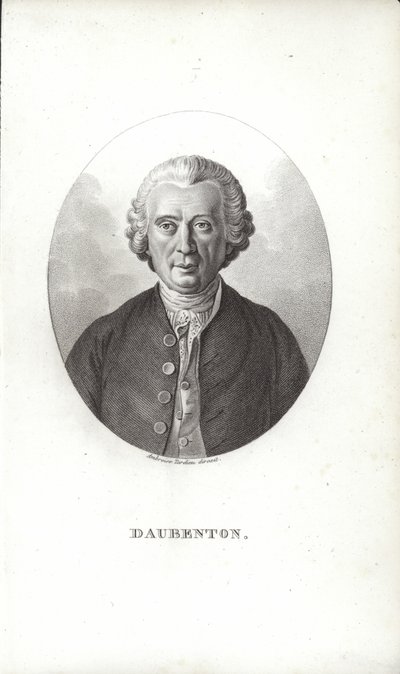 Louis-Jean-Marie Daubenton autorstwa French School