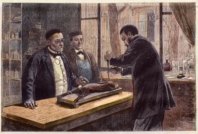 Louis Pasteur (1822-1895), francuski chemik i mikrobiolog, eksperymentujący na króliku chloroformowanym podczas poszukiwania leku na wściekliznę. autorstwa French School