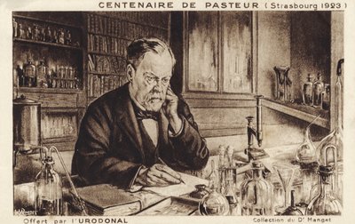 Louis Pasteur autorstwa French School