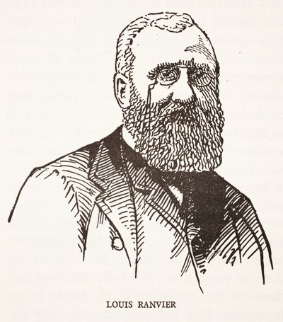 Louis Ranvier autorstwa French School