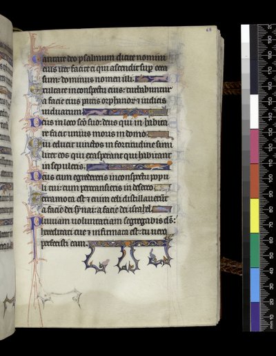 MS 300 f.68r, folio z Psałterza i Godzin Izabeli Francuskiej, Paryż, c.1265-70 autorstwa French School