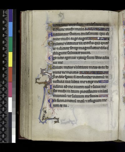 MS 300 f.73v, z Psałterza i Godzin Izabeli Francuskiej, Paryż, c.1265-70 autorstwa French School