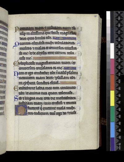 MS 300 f.75r, z Psałterza i Godzin Izabeli Francuskiej, Paryż, ok. 1265-70 (pióro i tusz oraz tempera na pergaminie) autorstwa French School