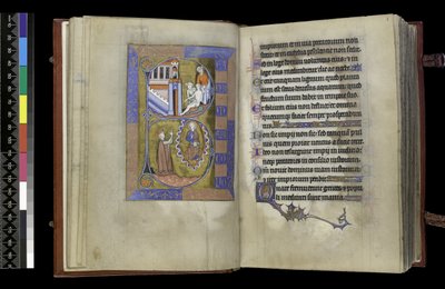 MS 300 f.XIII-1r, z Psałterza i Godzin Izabeli Francuskiej, Paryż, ok. 1265-70 (pióro i tusz oraz tempera na pergaminie) autorstwa French School